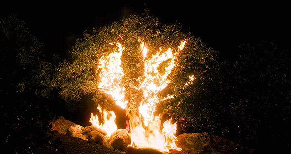 visual effects fire