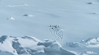matte painting bird view of the ice field