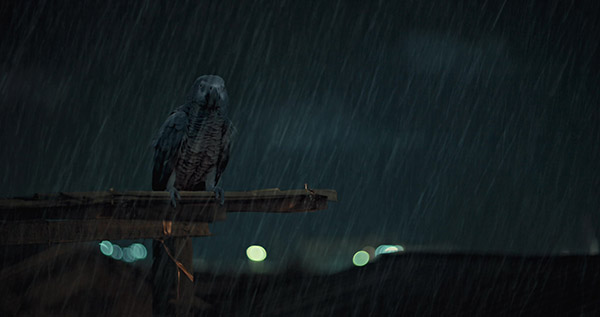 vfx bird